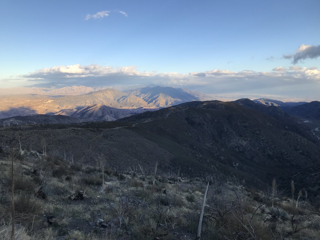 2018-02-19 16.59.29.jpg