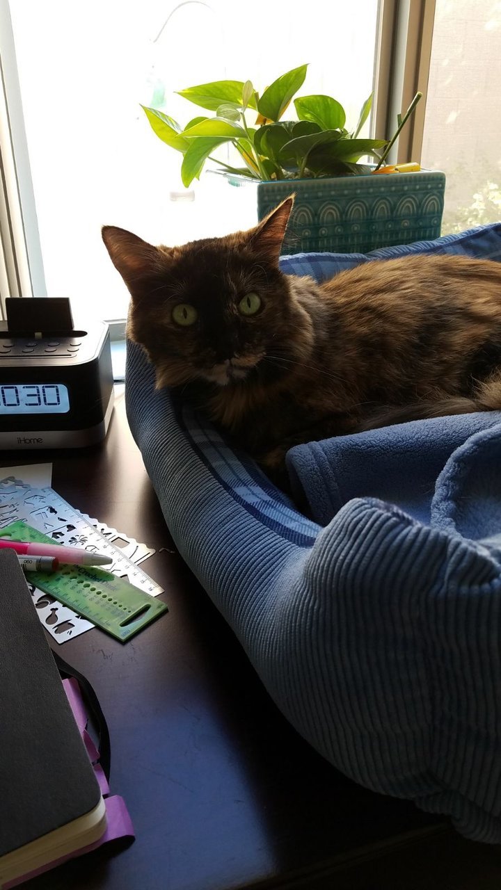2018-02-2.jpg