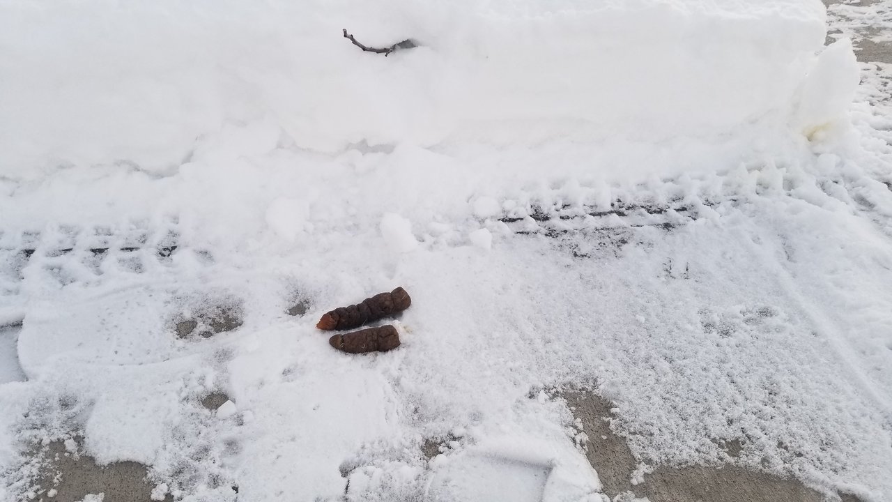 20180101_080225.jpg