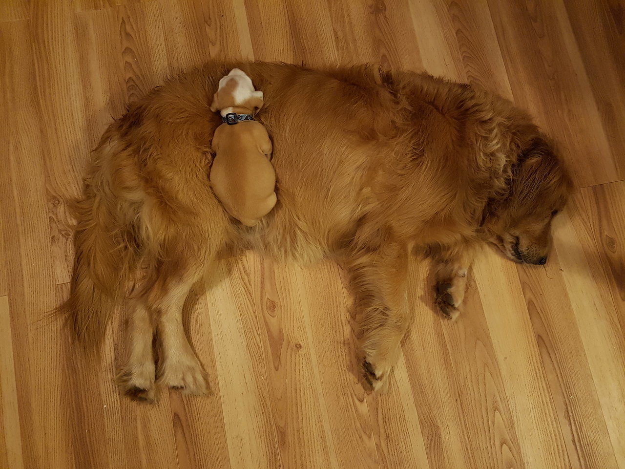 20180102_191255.jpg