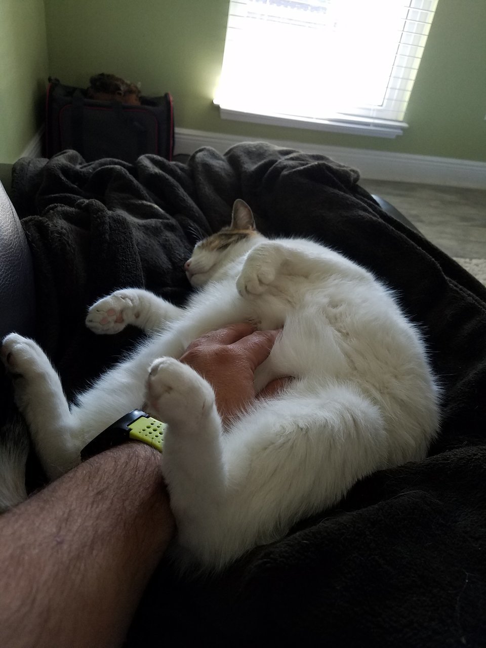 20180103_132343.jpg