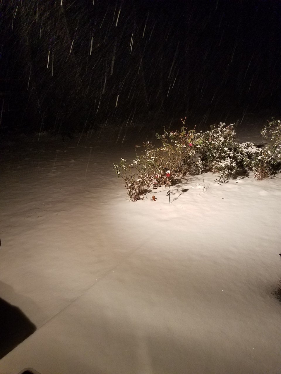 20180103_210939.jpg