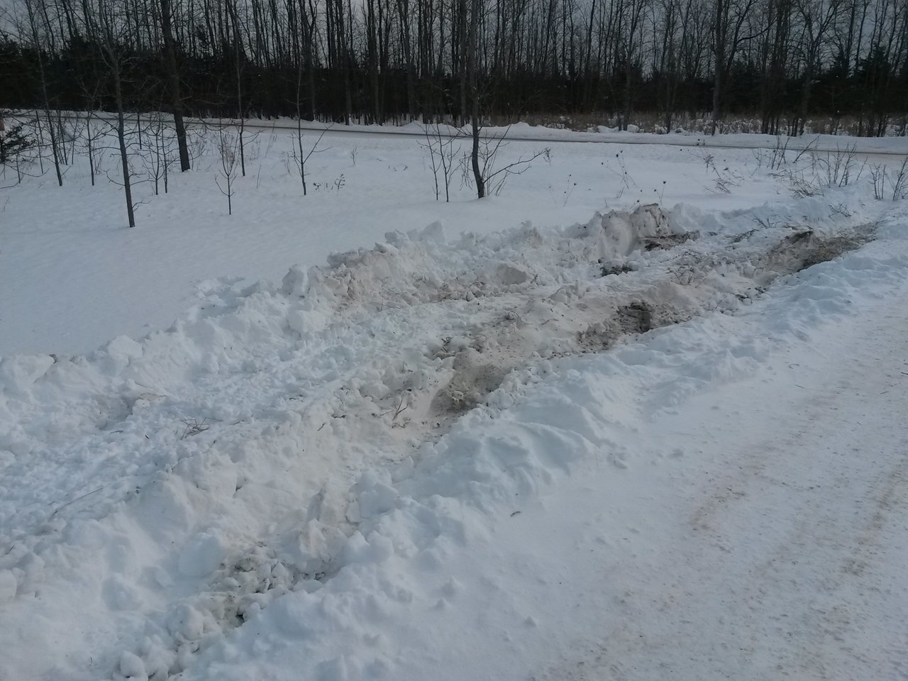 20180105_133218.jpg