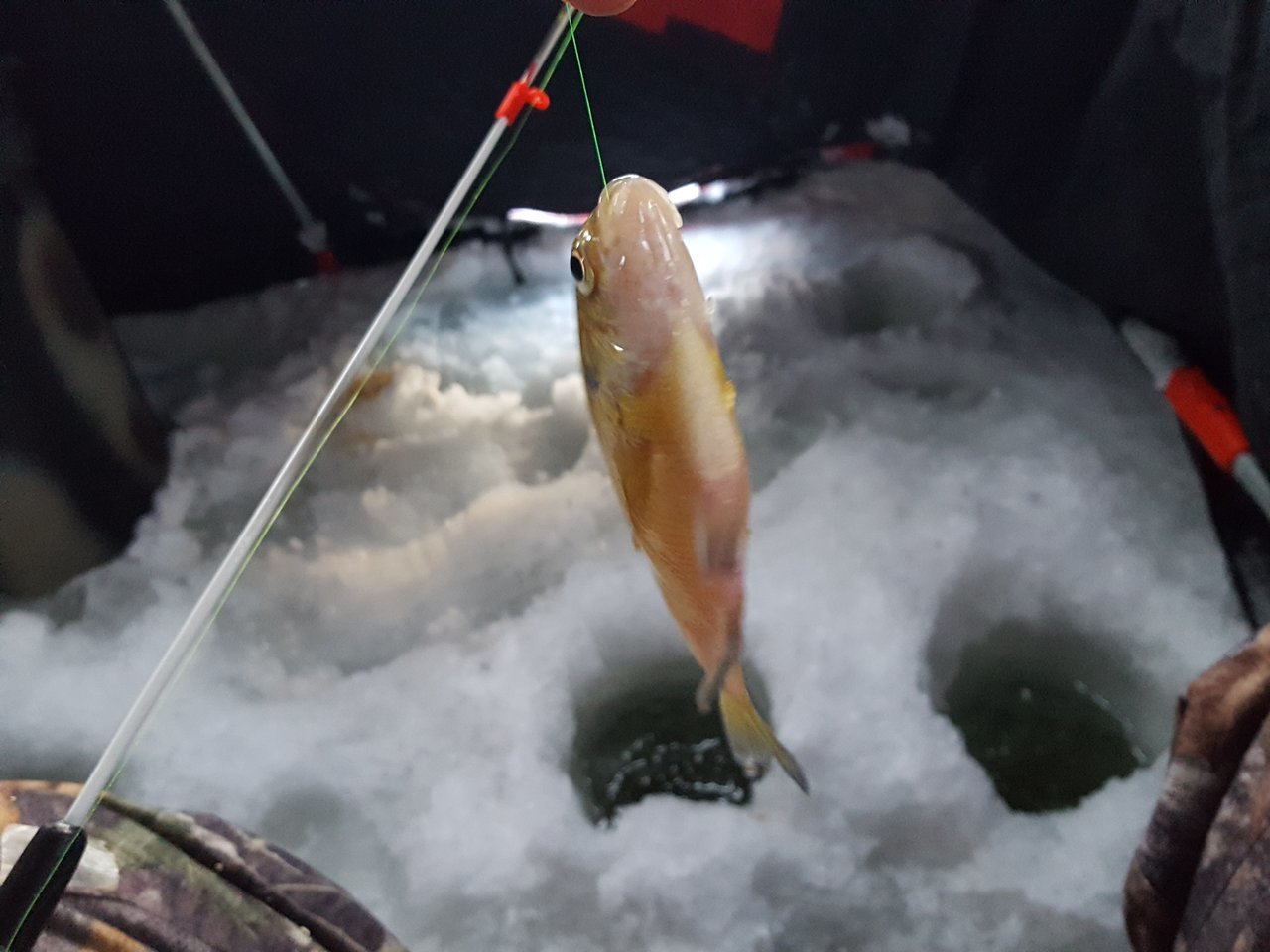 20180105_164847.jpg