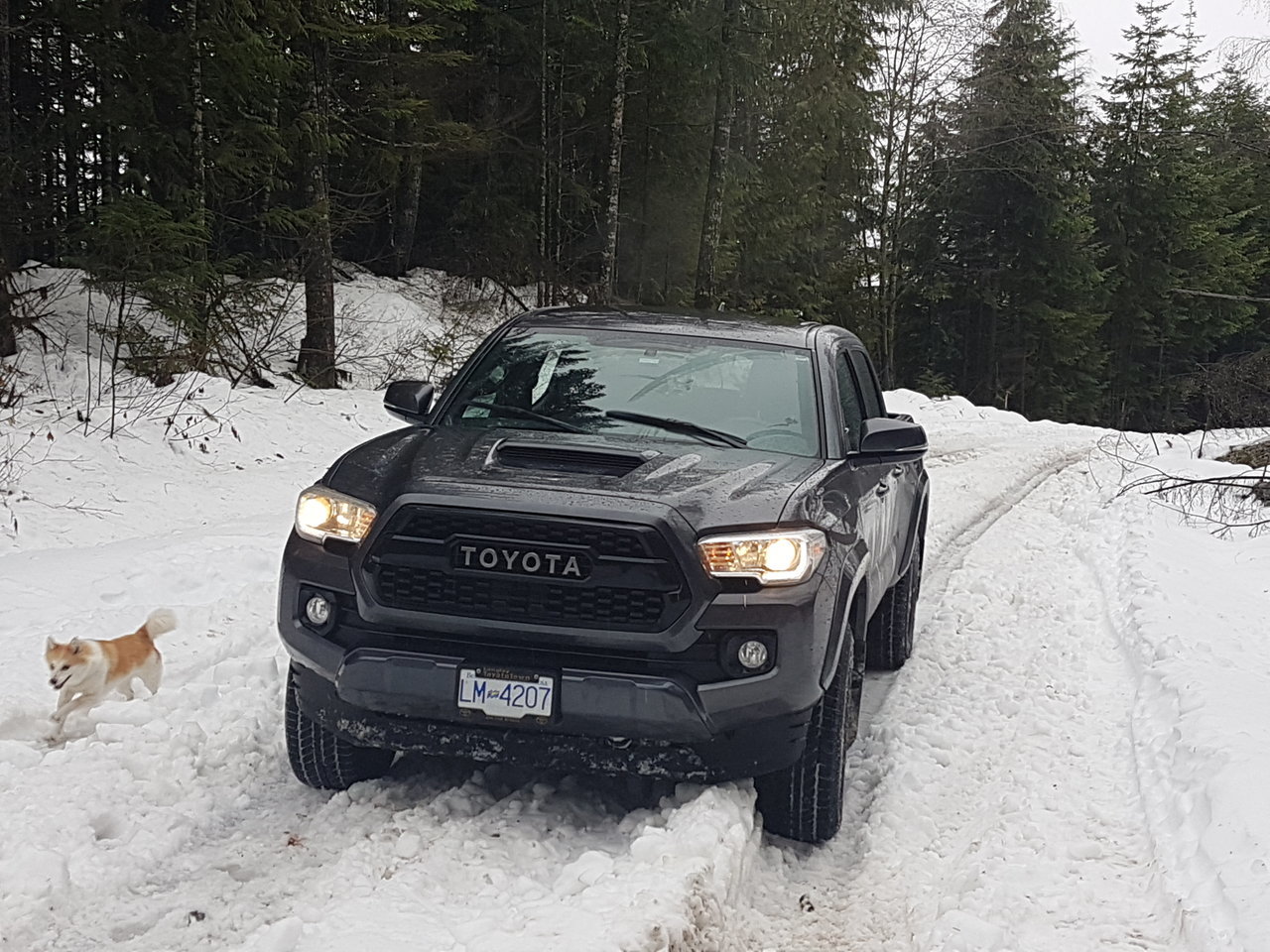 20180107_125304[1].jpg