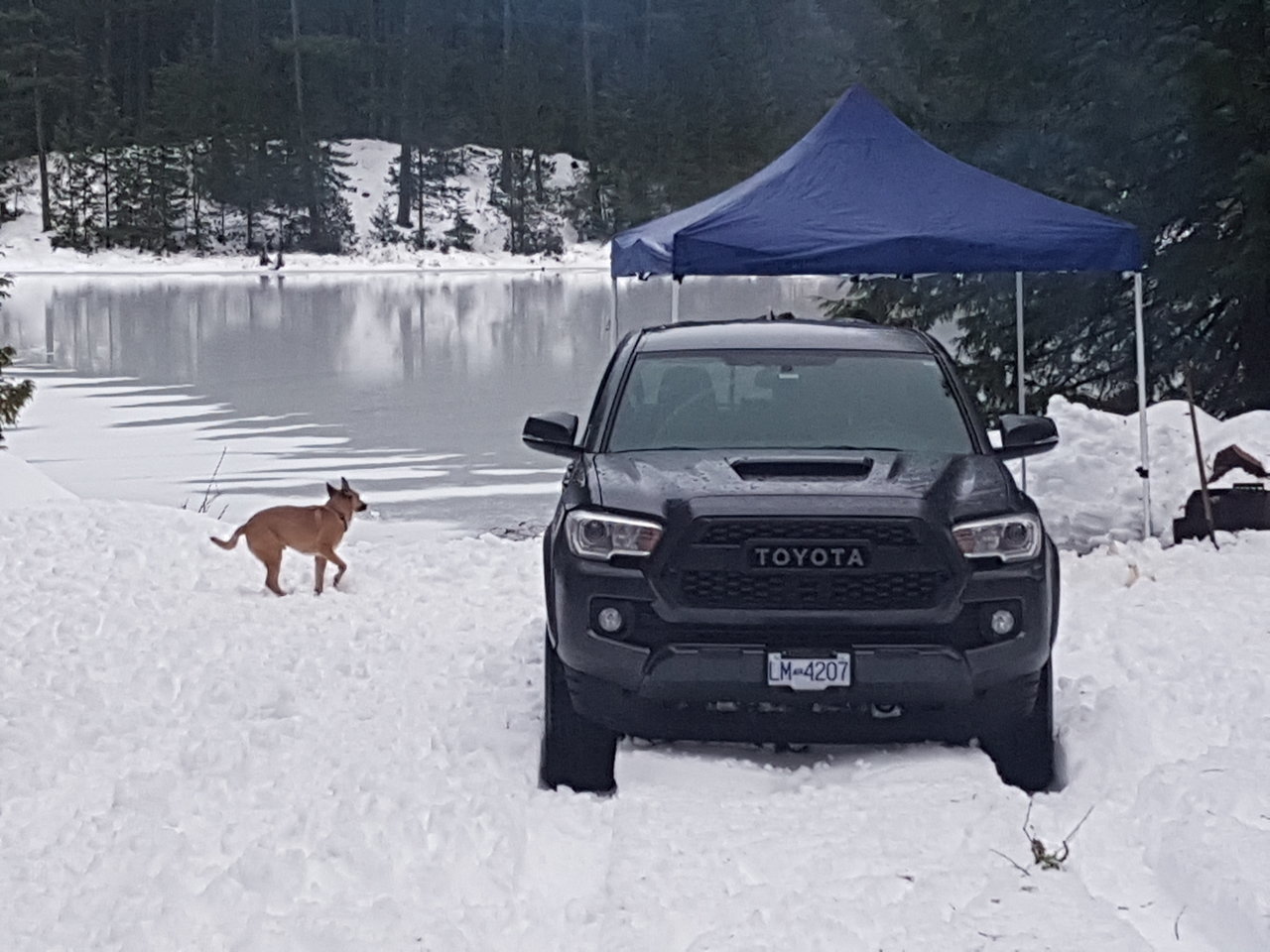 20180107_160004.jpg