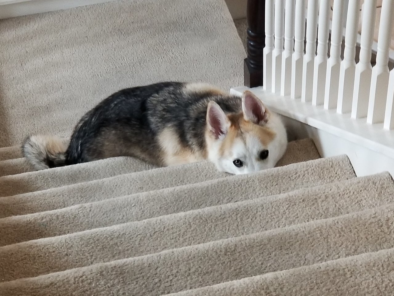 20180110_123256.jpg