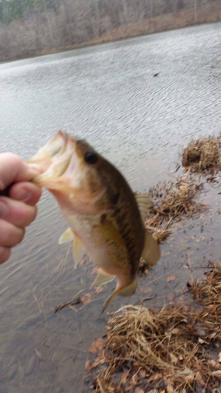 20180110_132703.jpg