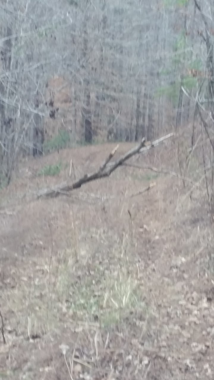 20180110_143023.jpg