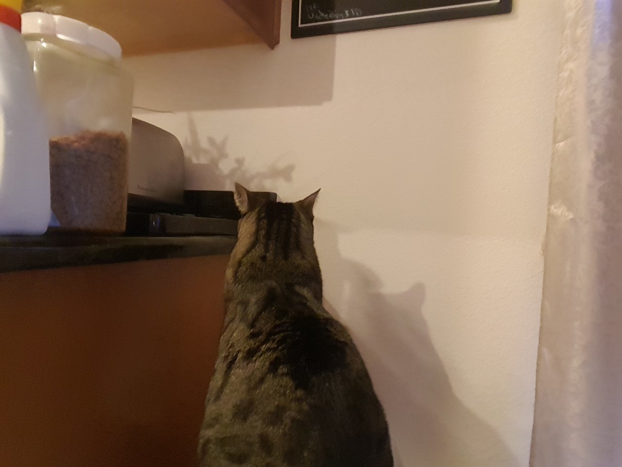 20180112_173856.jpg