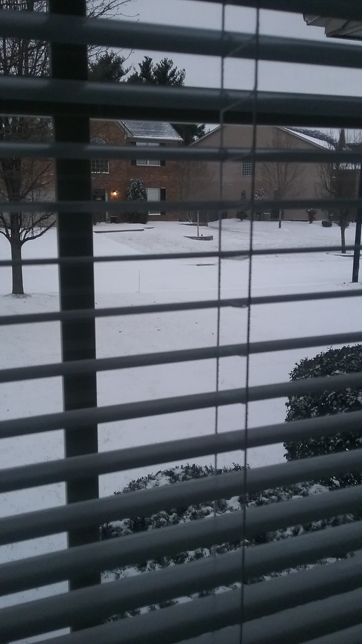 20180113_075313.jpg