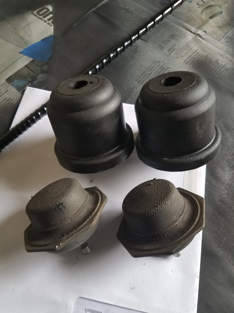 20180113_114821.jpg