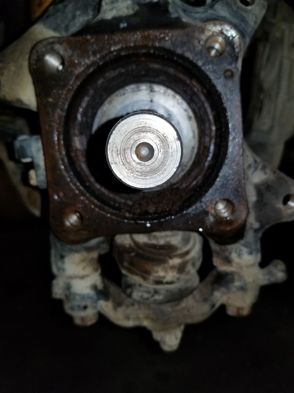 20180113_124006.jpg