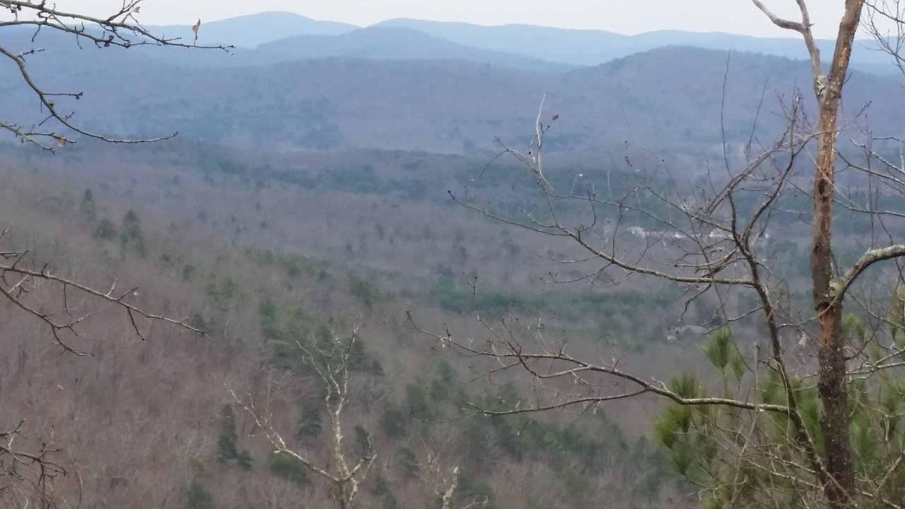 20180113_124616.jpg