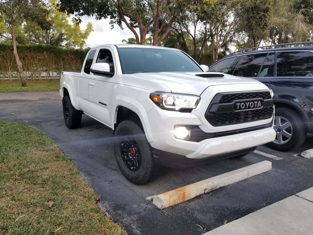 3rd Gen White Tacomas - Post them up! | Page 203 | Tacoma World