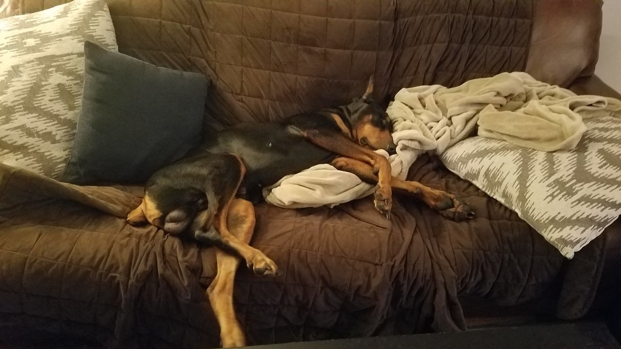 20180114_232518.jpg