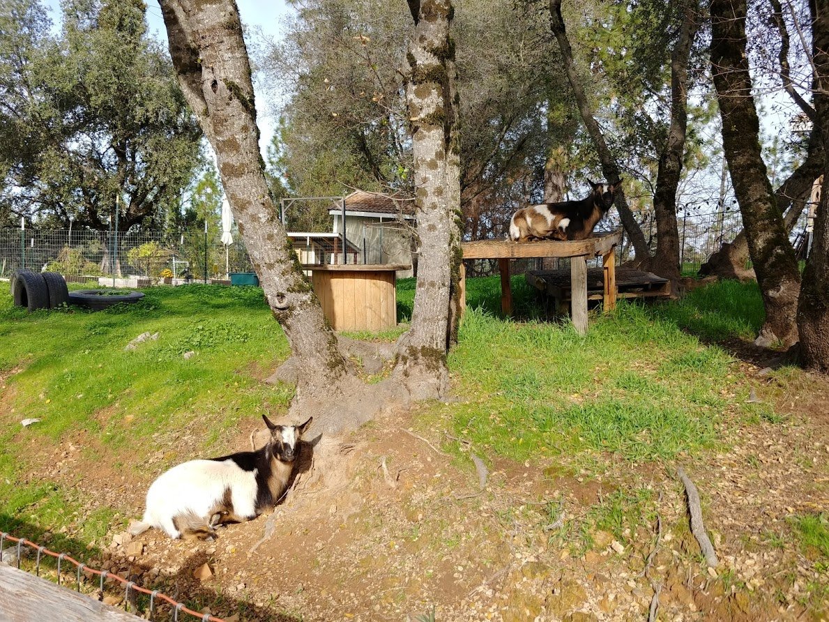 20180115_103208_HDR.jpg