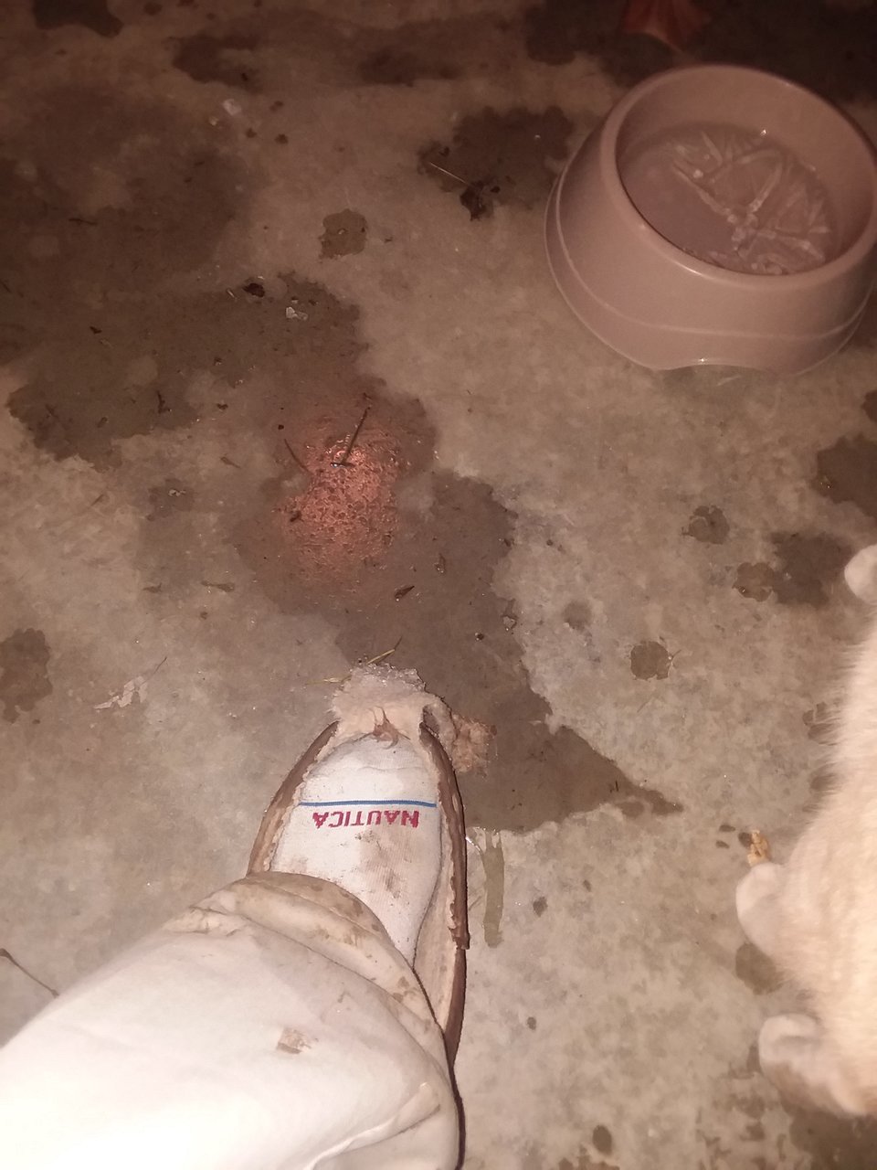 20180115_184821.jpg