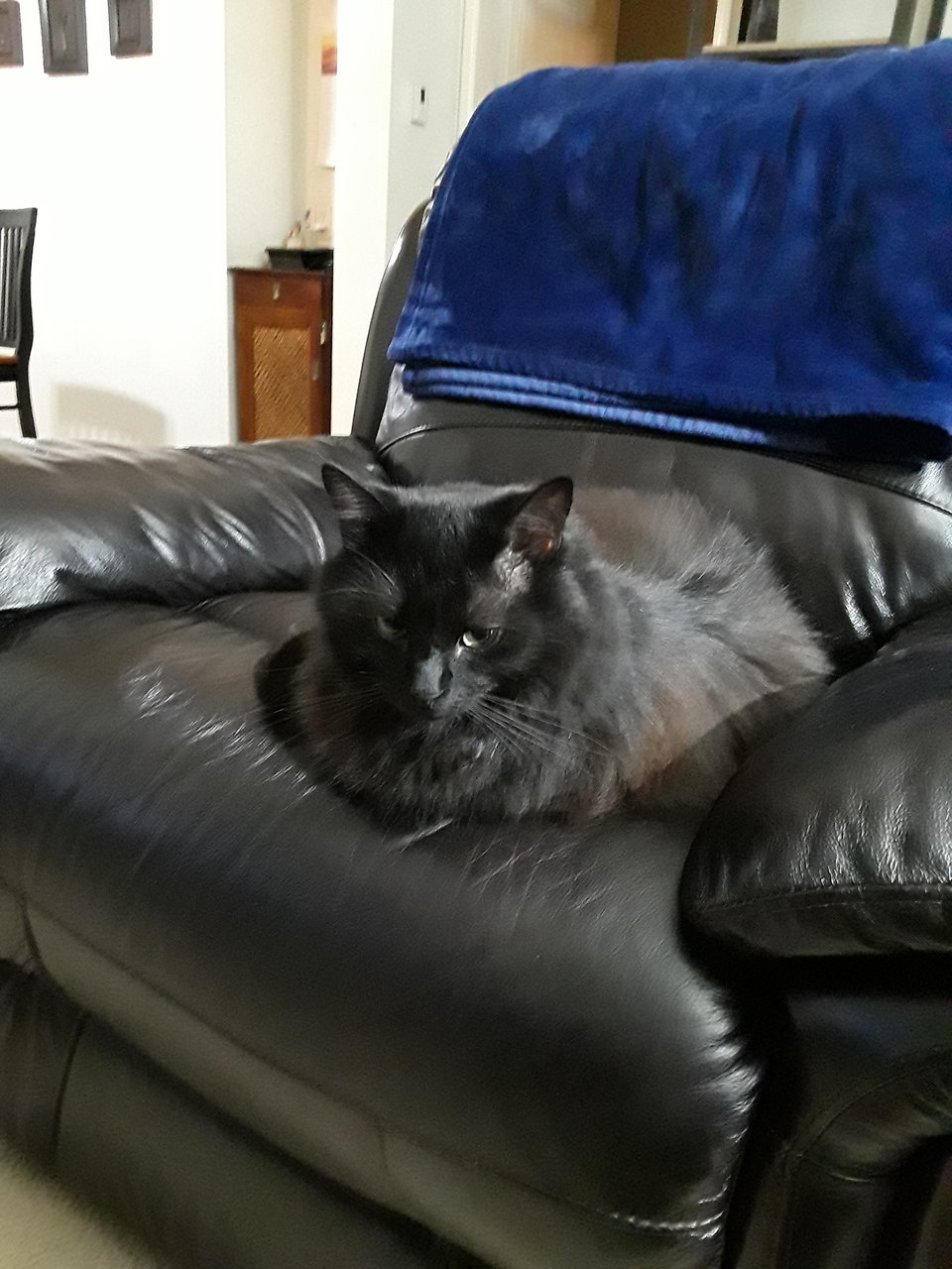 20180119_175533.jpg