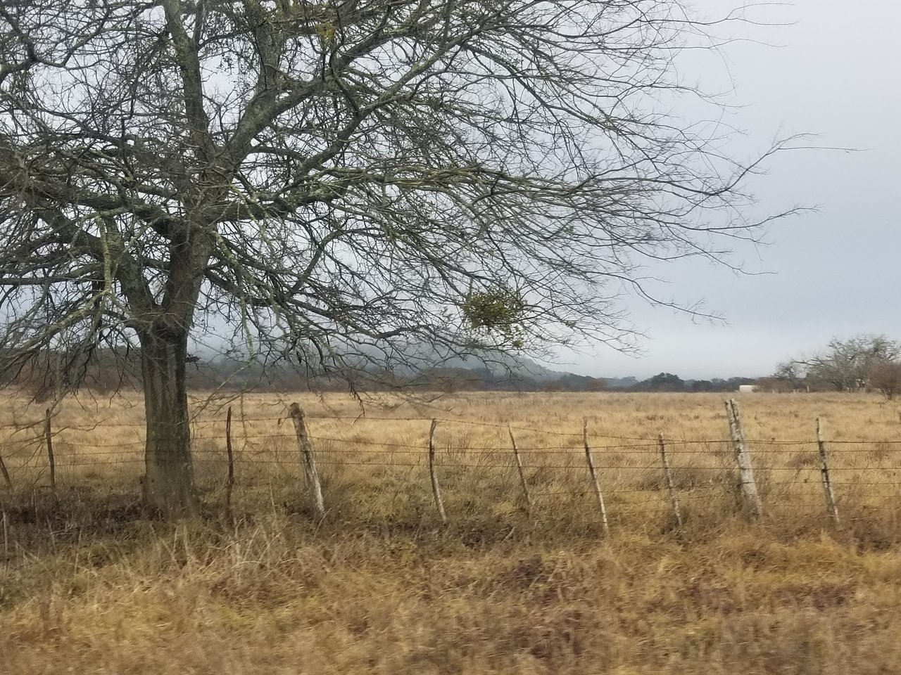 20180120_091832.jpg