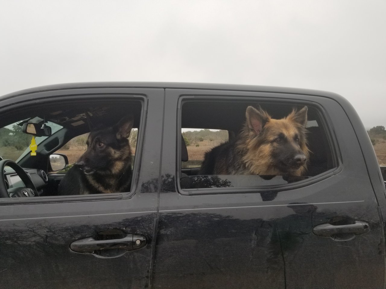 20180120_100351.jpg