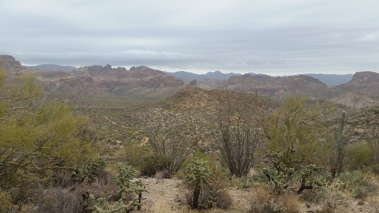 20180120_112926.jpg