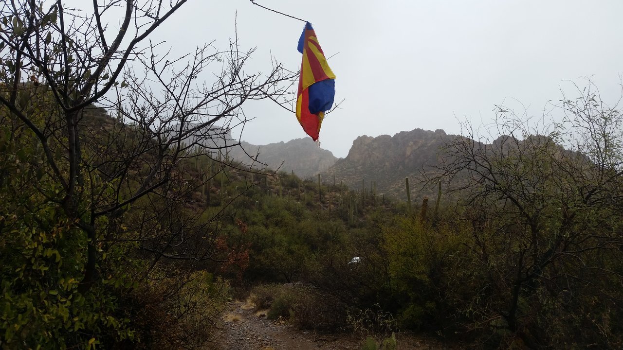 20180120_134507.jpg