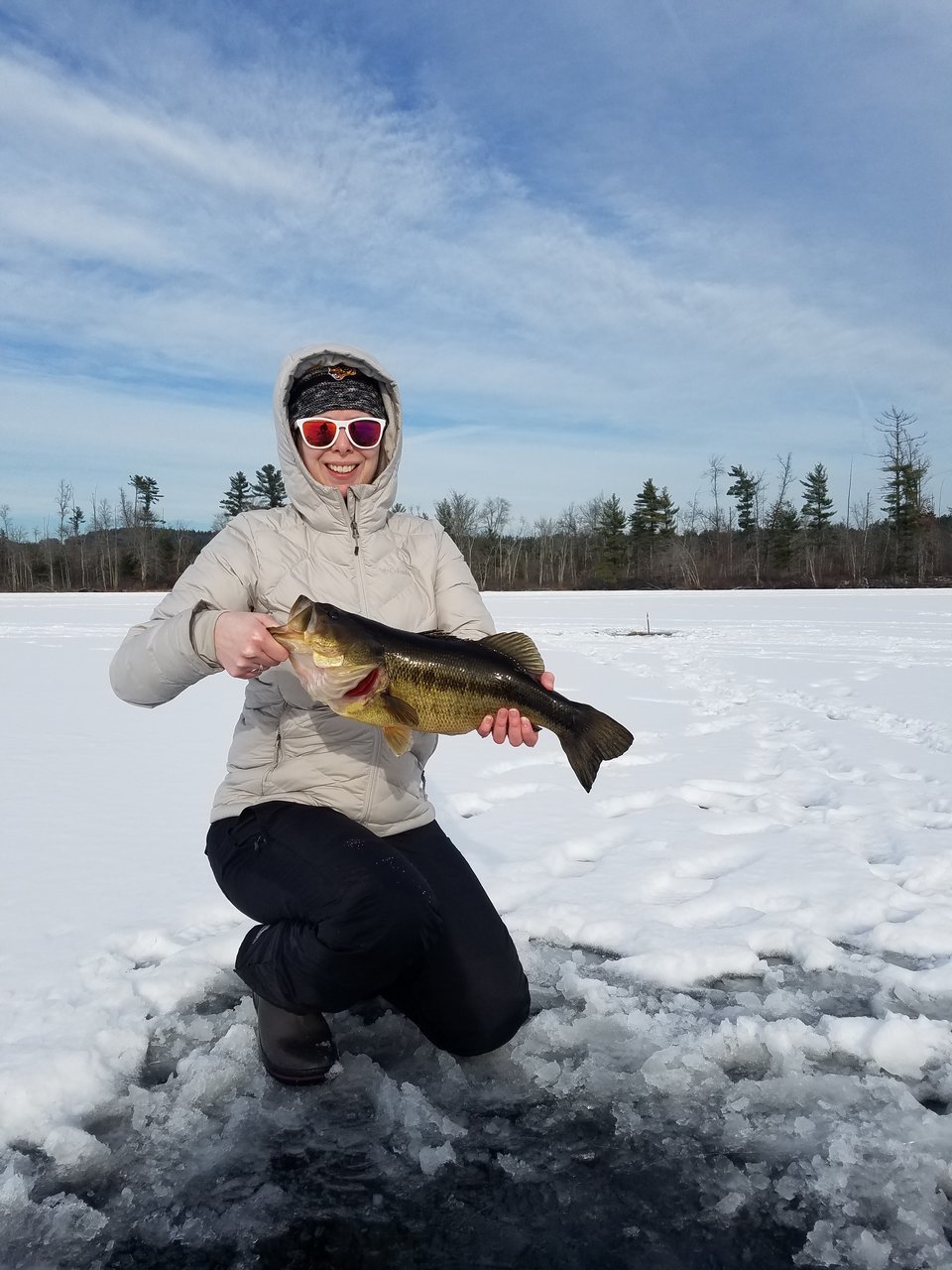 20180120_135600.jpg
