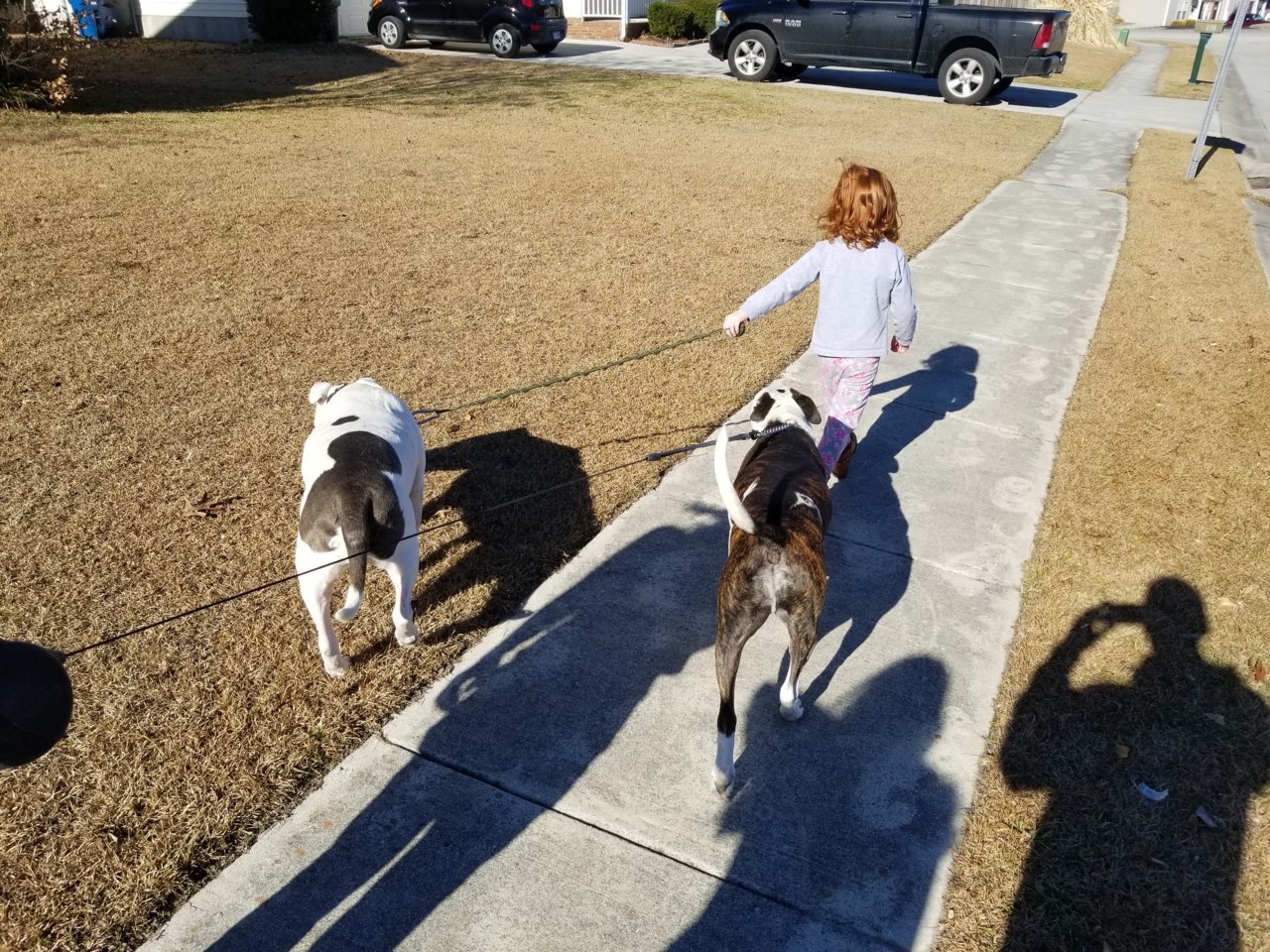 20180120_140427.jpg