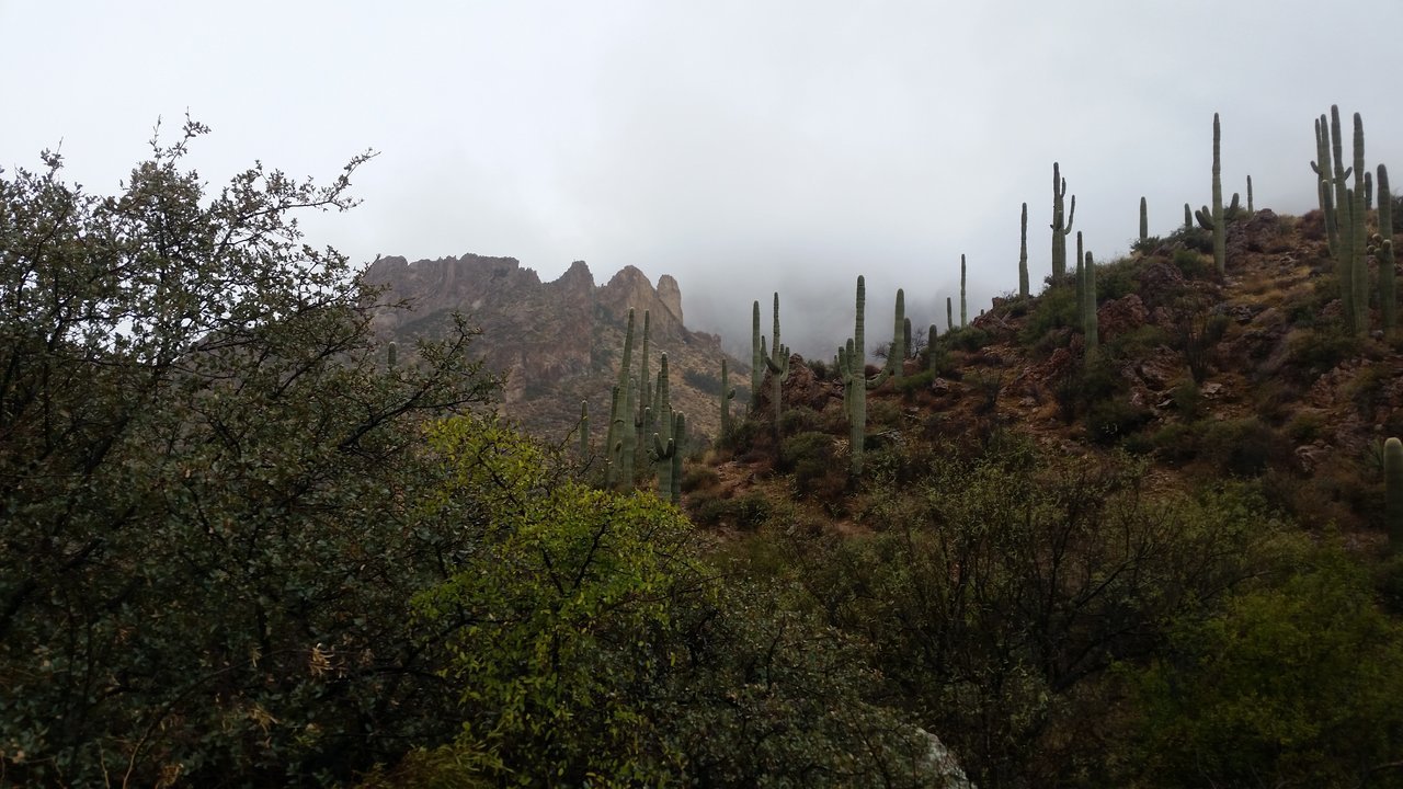 20180120_141906.jpg