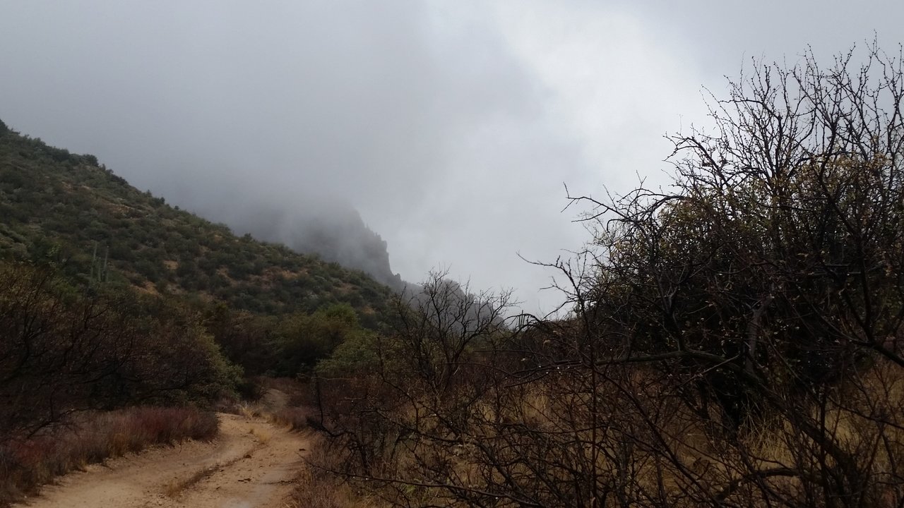 20180120_150704.jpg