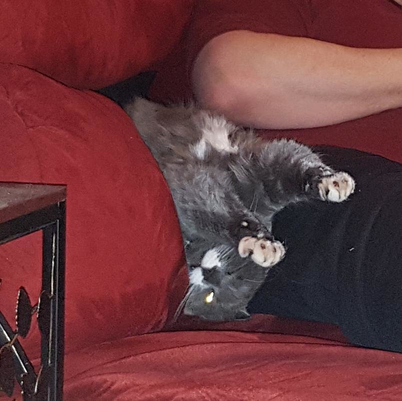 20180120_220418.jpg