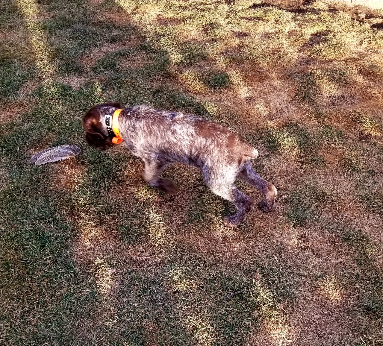 20180122_164210.jpg