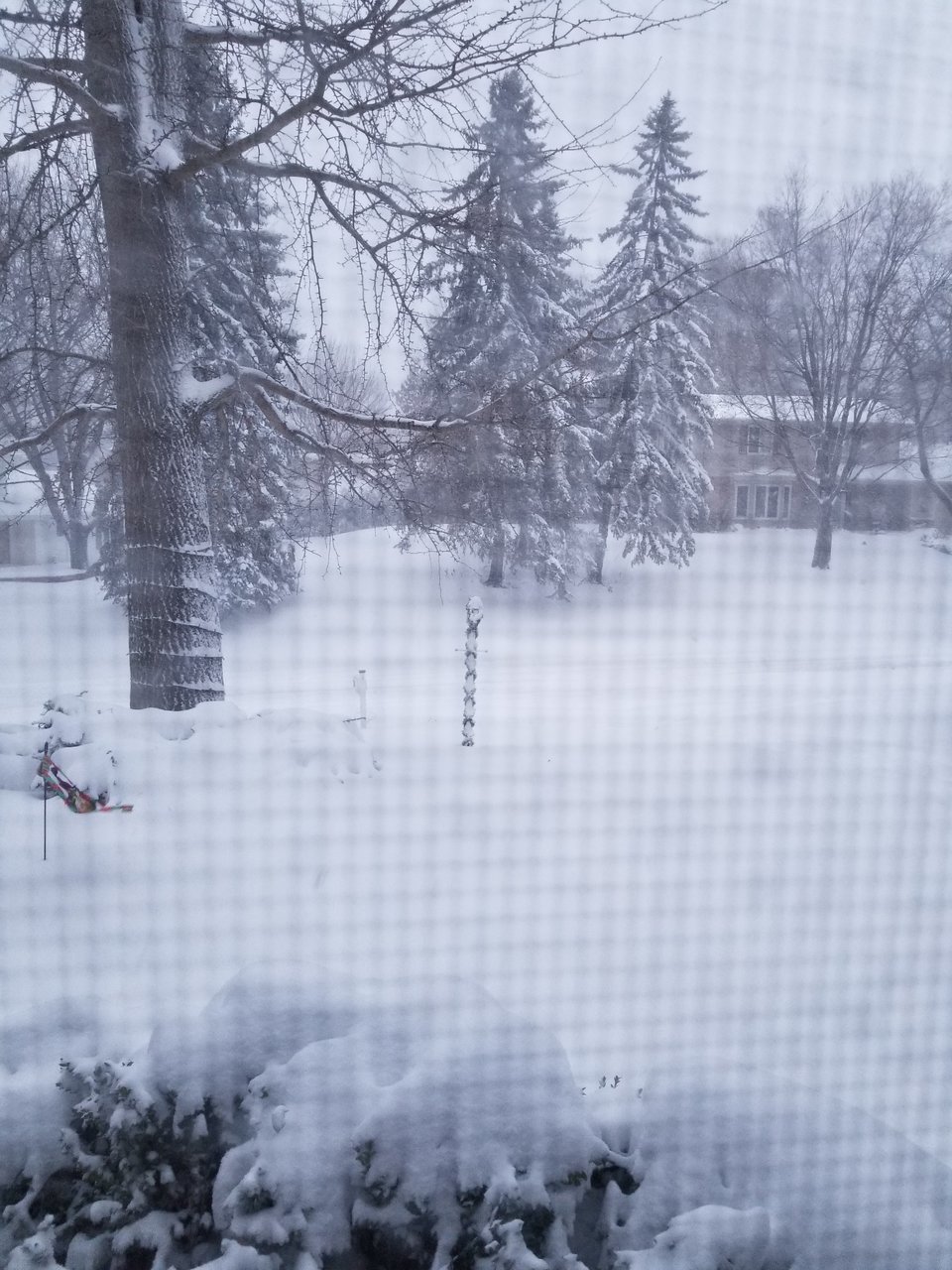 20180122_165123.jpg
