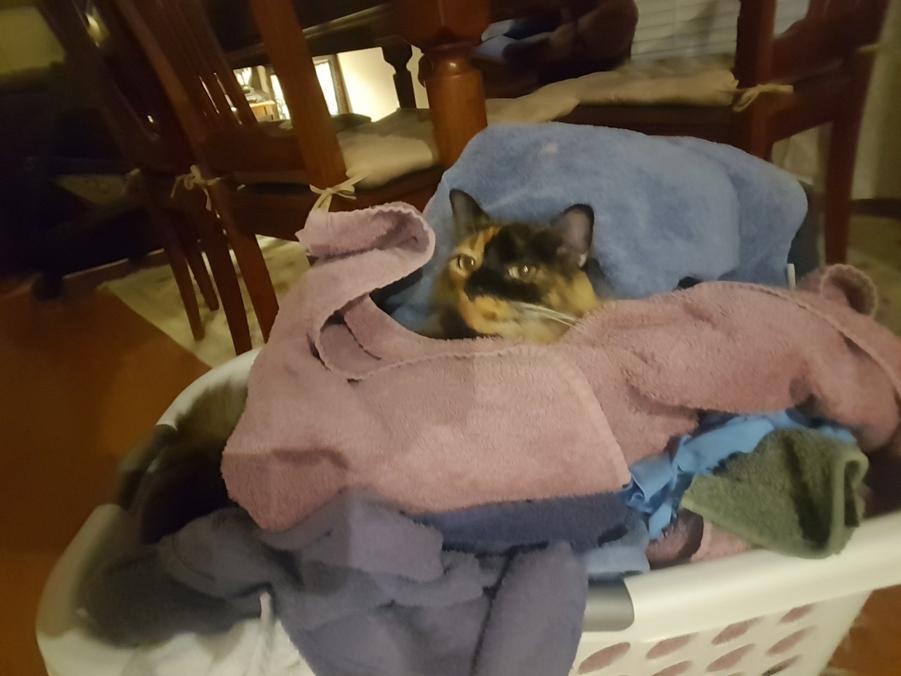20180125_194014.jpg