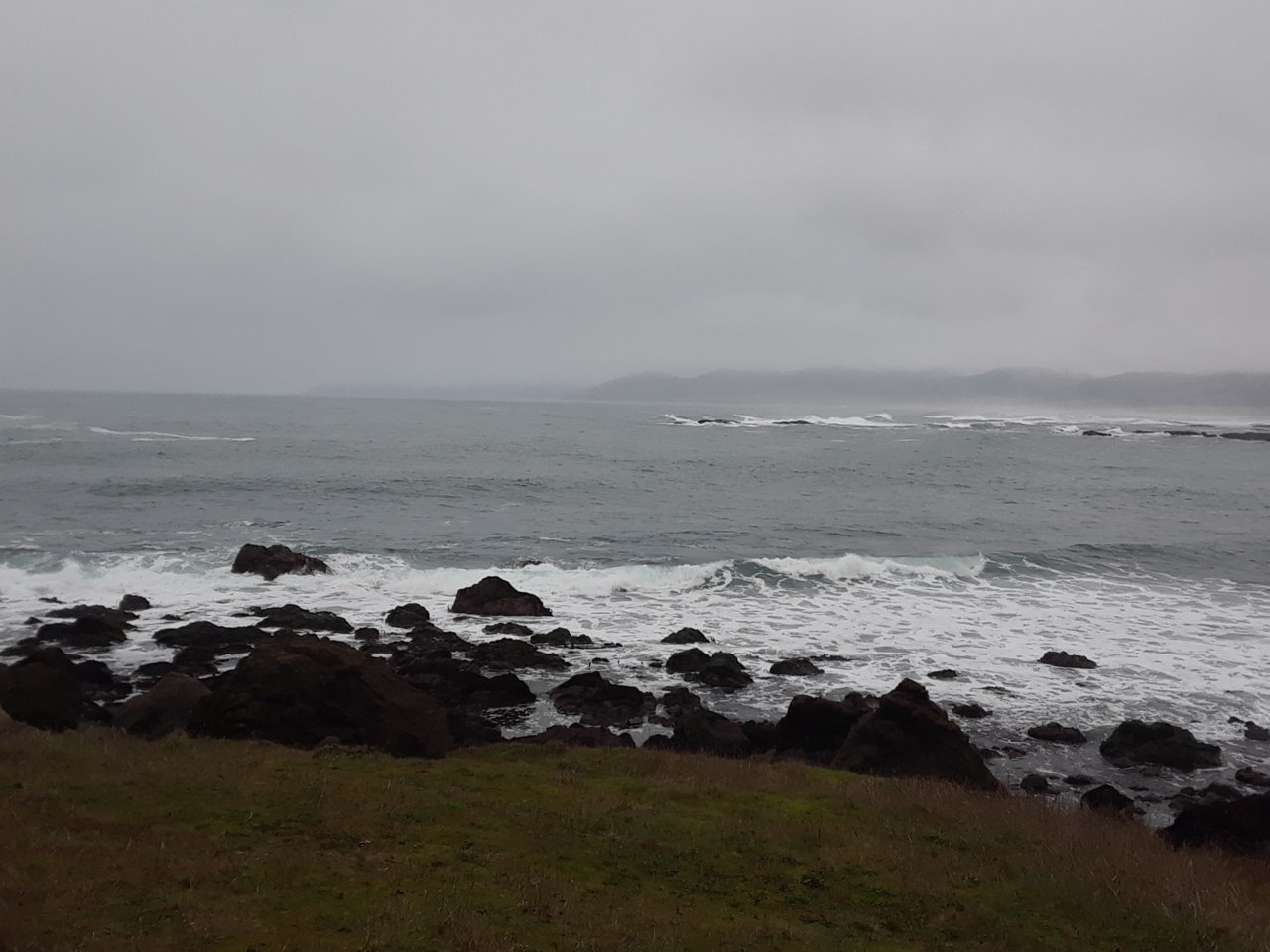 20180127_143135.jpg