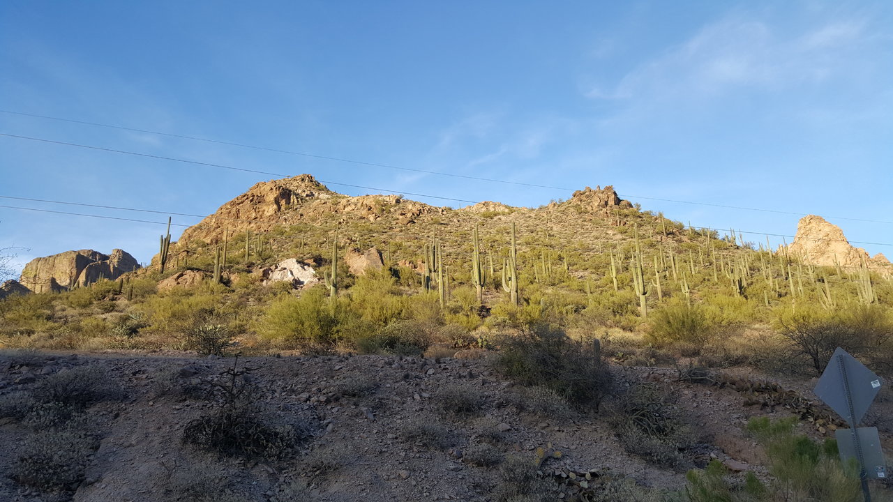 20180127_164537.jpg