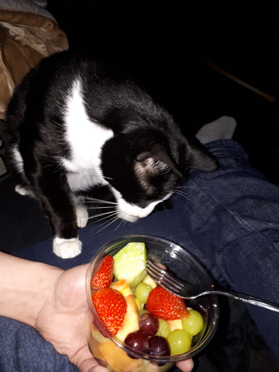 20180127_172523.jpg