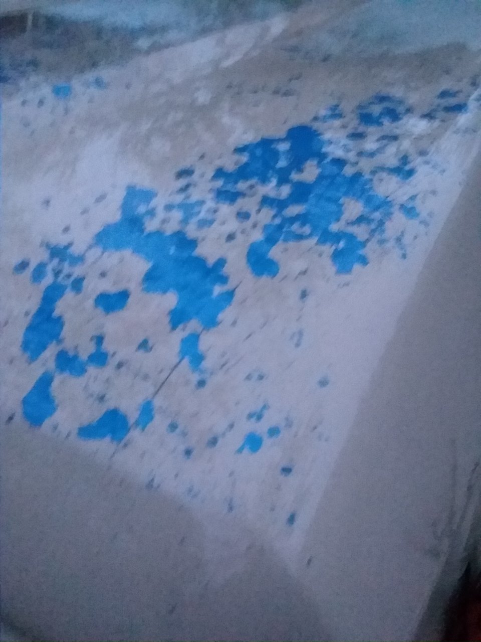 20180127_172950.jpg