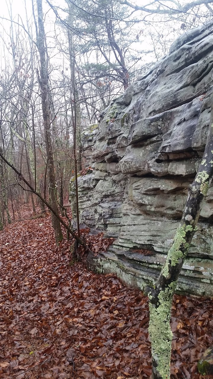 20180128_143312.jpg