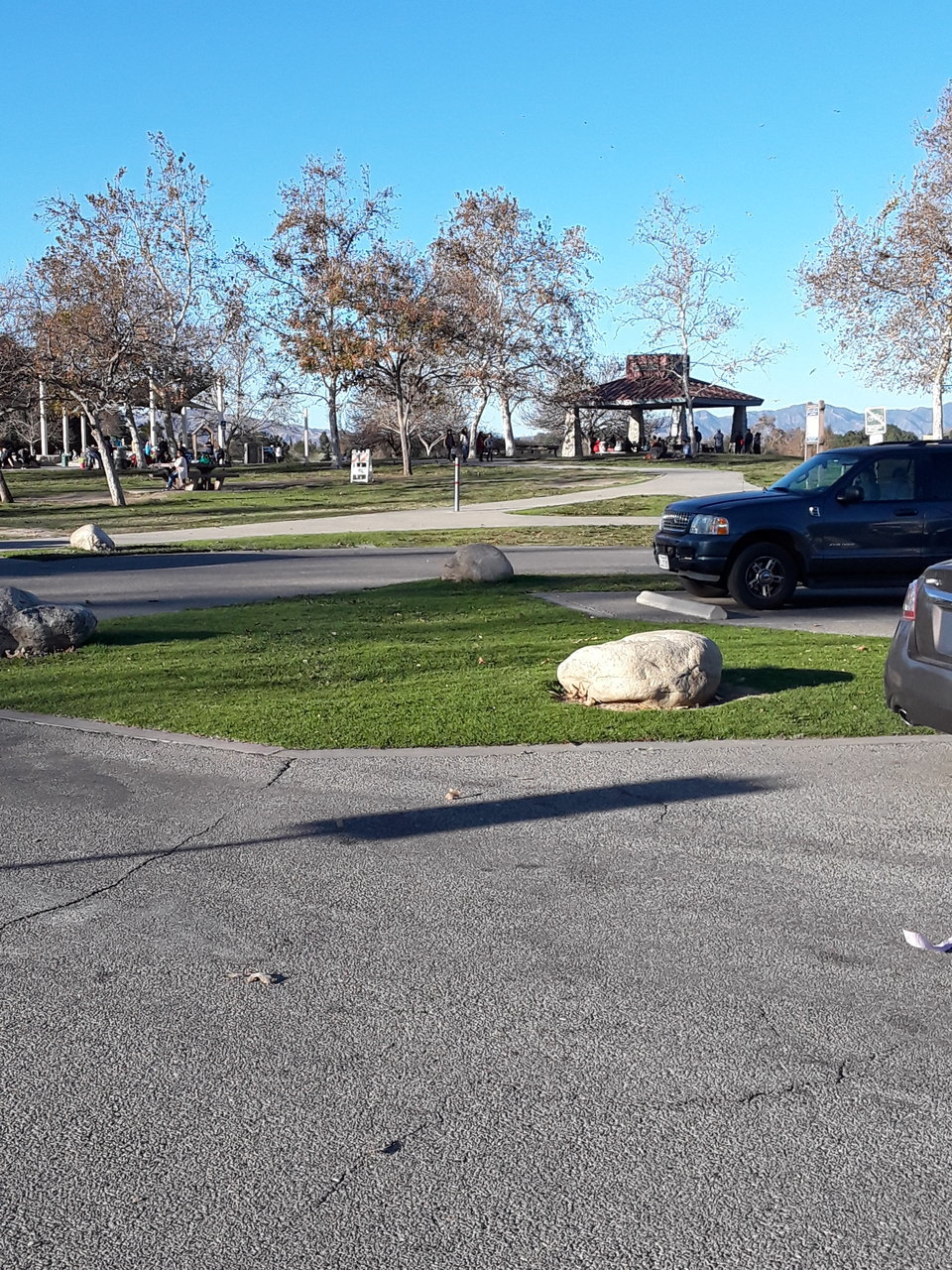 20180128_160001.jpg