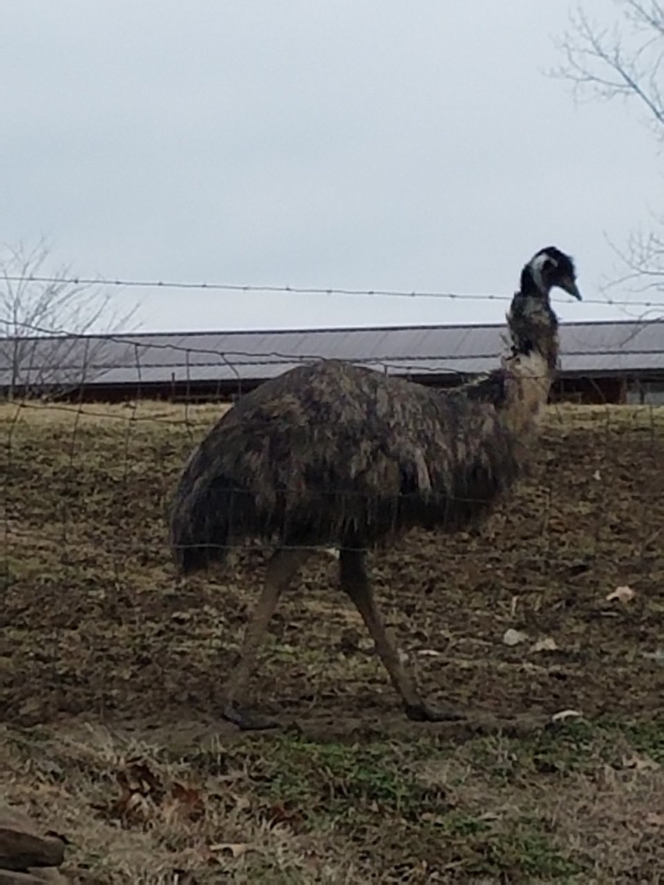 20180129_145208.jpg