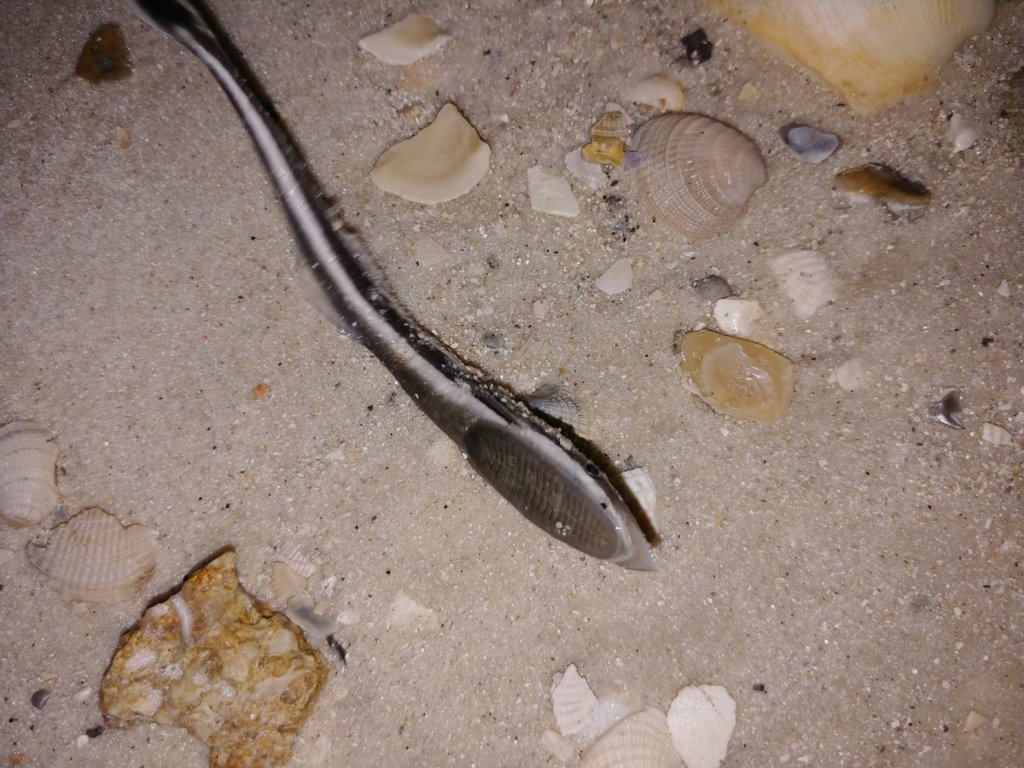 20180130_222402.jpg
