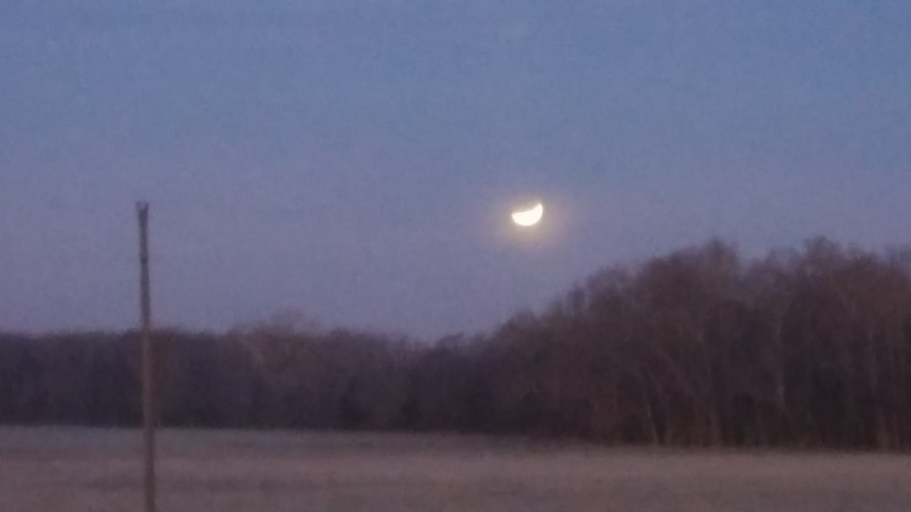 20180131_062403.jpg