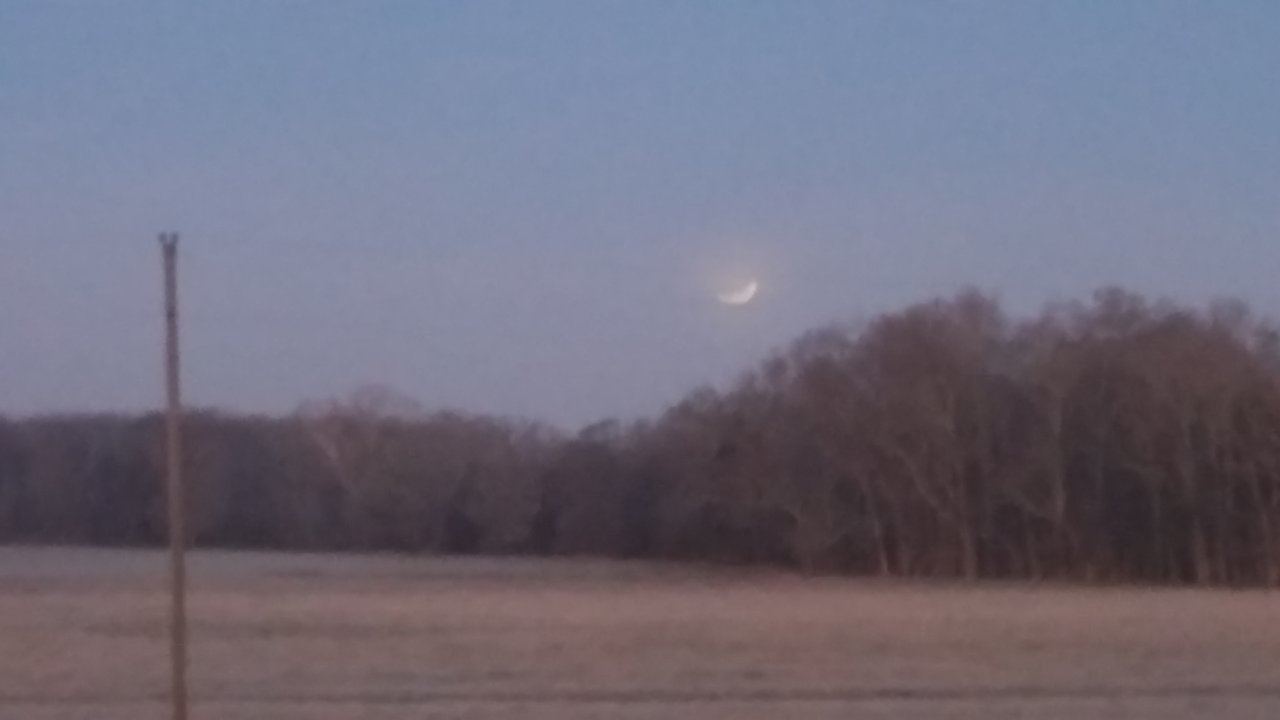 20180131_062653.jpg