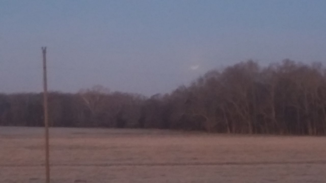 20180131_062820.jpg