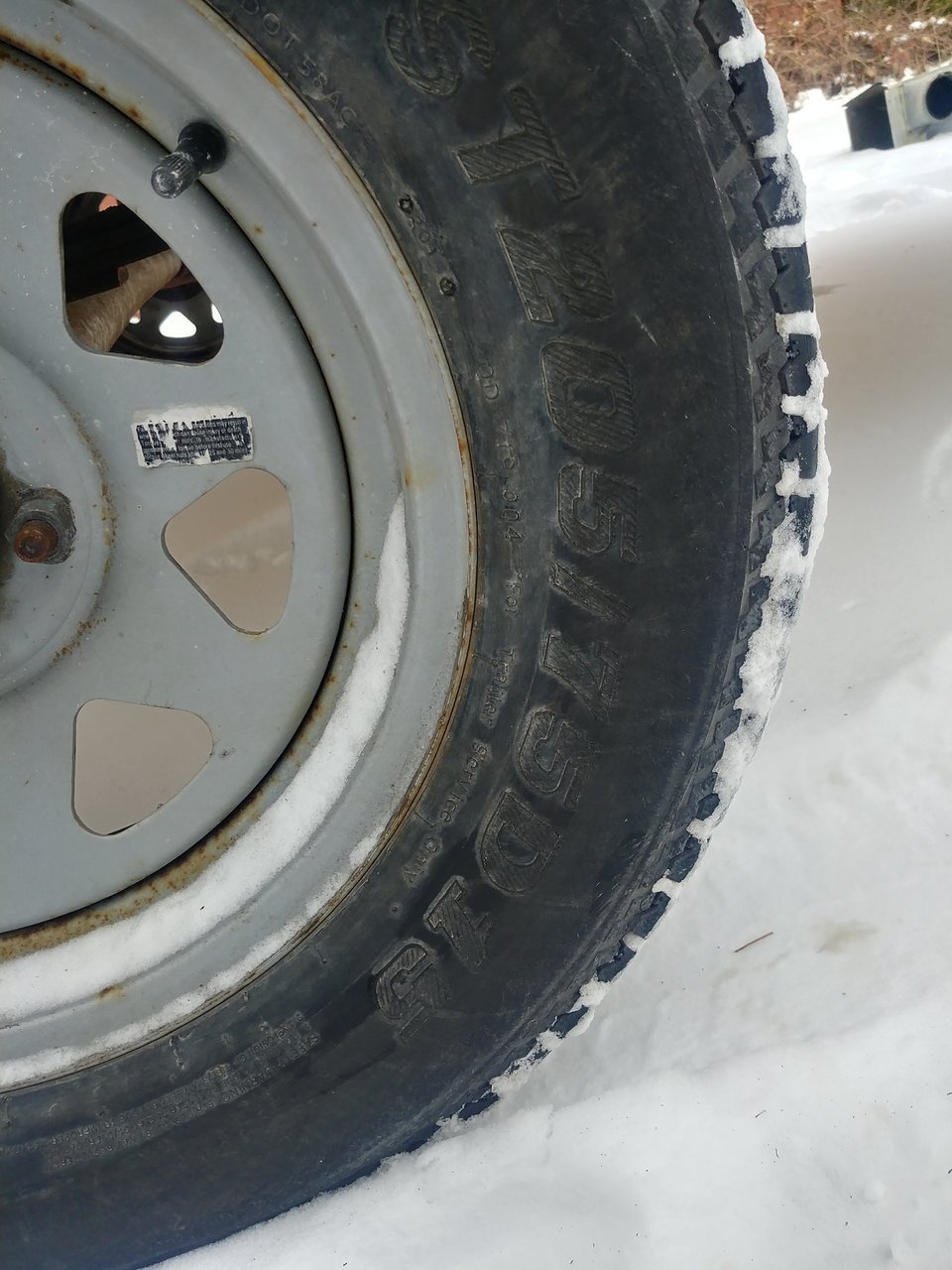 20180131_105408_HDR.jpg