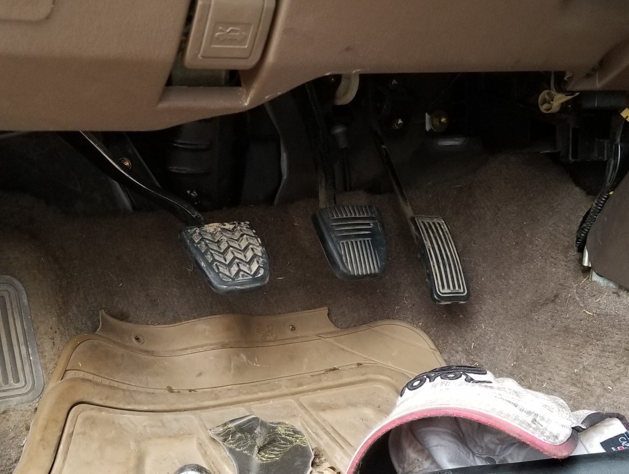 20180201_103913.jpg