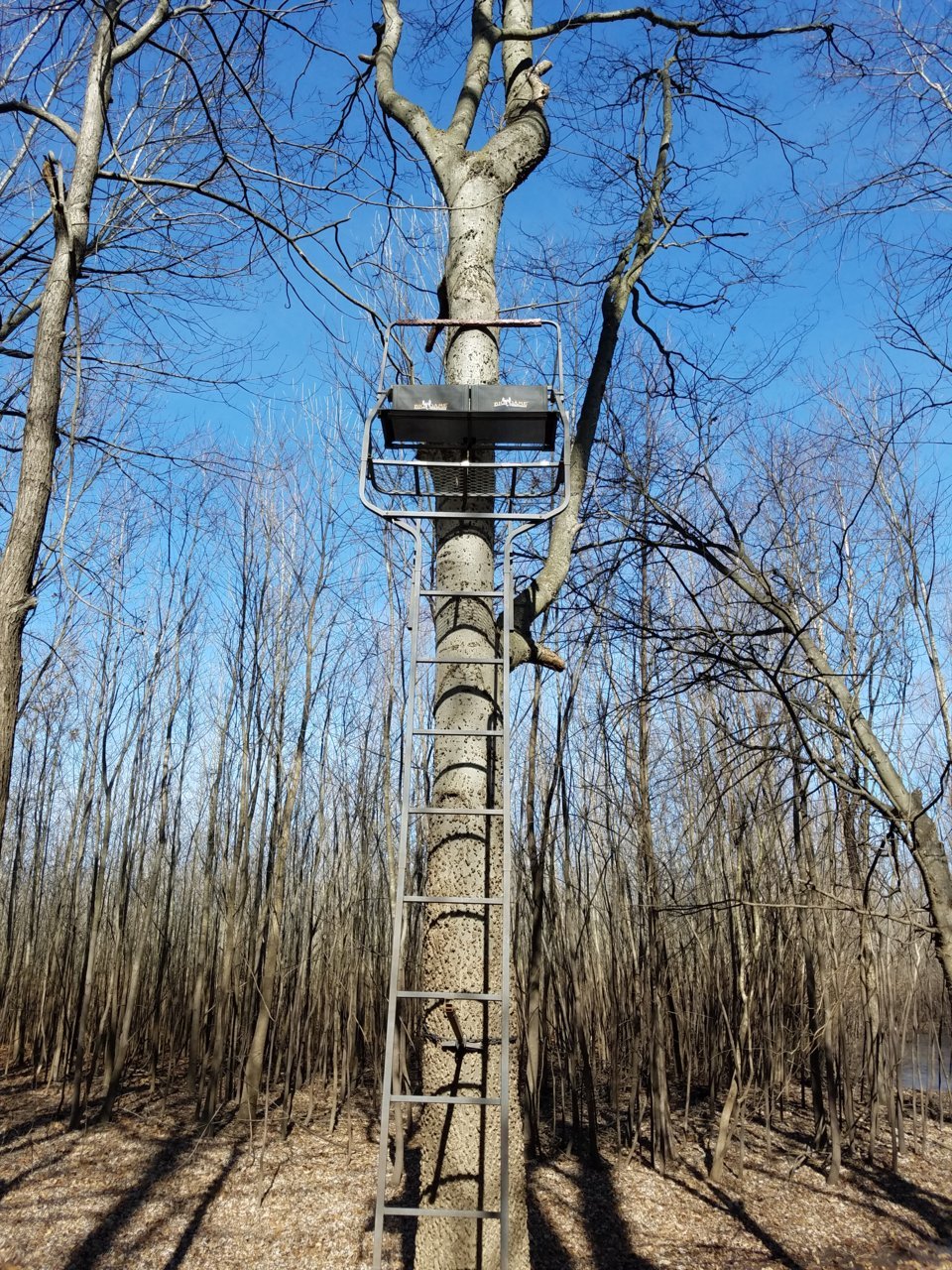 20180202_112506.jpg