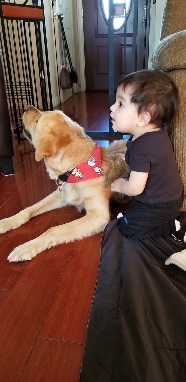 20180202_131520.jpg